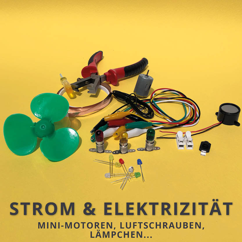 Forscher Shop Clevere kleine Experimente für neugierige Kinder und  Erwachsene - Batterie - Qualitäts-Flachbatterie 4,5V - Zink Carbon