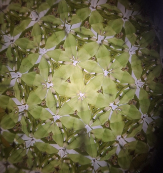 Oktaskop - vielfache Spiegelungen der Umgebung