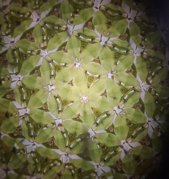 Oktaskop - vielfache Spiegelungen der Umgebung