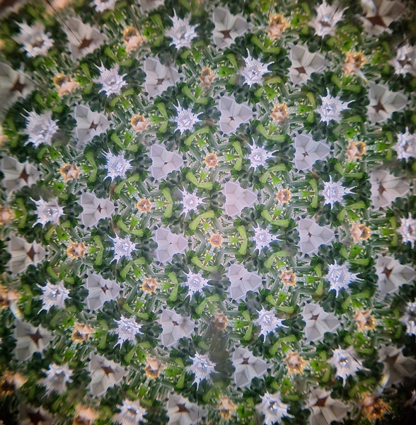 Oktaskop - vielfache Spiegelungen der Umgebung