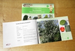 Baumkarten (Heftchen) - 17 einheimische Bäume richtig kennenlernen