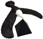 Seeadler liegt nur mit Schnabel auf Pyramide auf. Der Körper schwebt frei in der Luft.